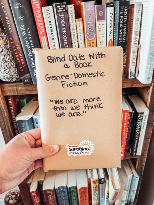 Blind Date Book Domestic Fiction