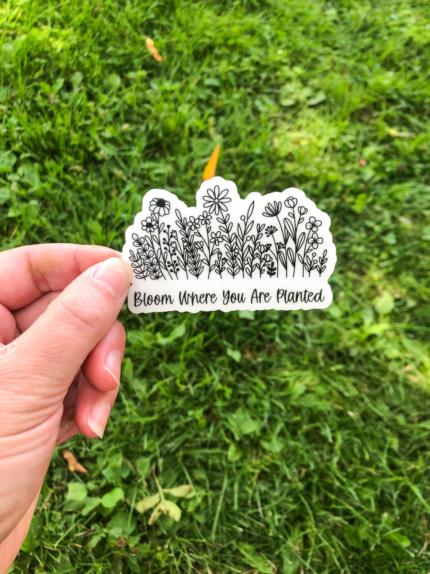 Bloom Where you are Planted Clear Sticker