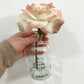 It's The Little Things Pink Rose and Vase