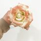 It's The Little Things Pink Rose and Vase