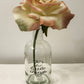 It's The Little Things Pink Rose and Vase