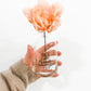It's The Little Things Vase and Pink Flower